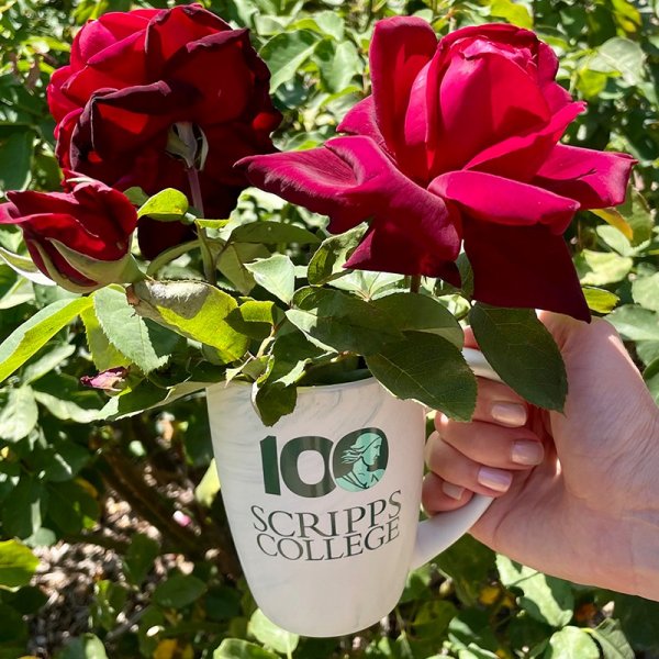 Scripps Centennial Haze Stoneware Mug-00
