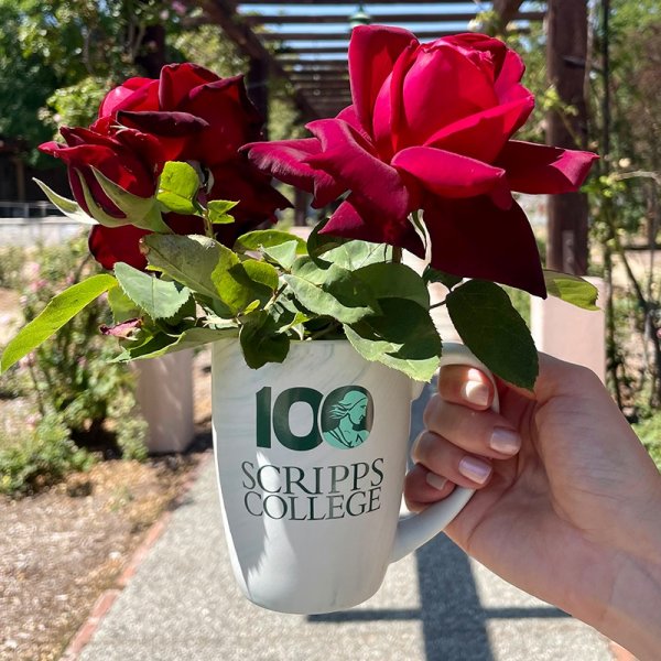 Scripps Centennial Haze Stoneware Mug-000